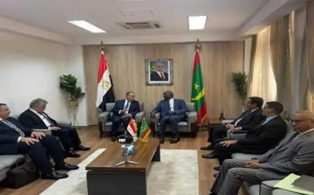 وزير الخارجية يعرب عن التطلع للارتقاء بالعلاقات الثنائية بين مصر وموريتانيا بكافة المجالات