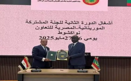 وزير الخارجية يترأس الجانب المصرى خلال أعمال اللجنة المشتركة المصرية الموريتانية فى نواكشوط