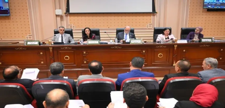 وزيرة التضامن أمام “النواب”: زيادة اعتماد “تكافل وكرامة” بـ 11 مليار جنيه فى ضوء توجيهات الرئيس