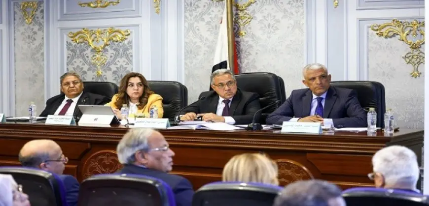 د.منال عوض : 4.3 مليار جنيه إجمالى موازنة الوزارة للعام الجديد بزيادة 525 مليون جنيه عن العام الماضى