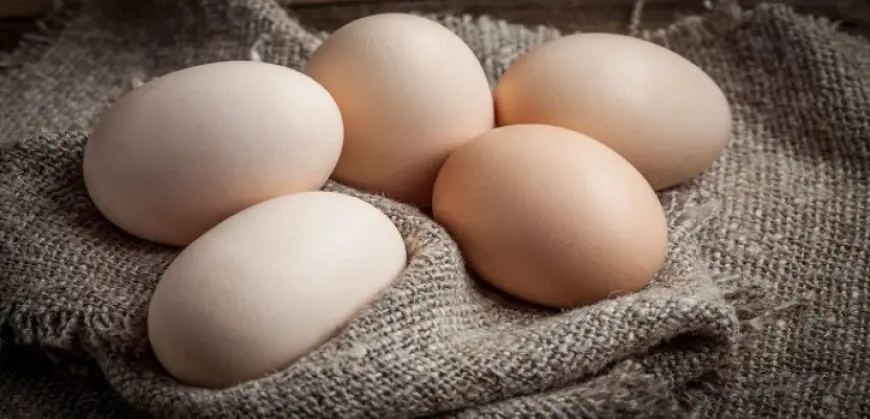 محكمة سويدية تدين أما كسرت بيضة على جبين ابنتها