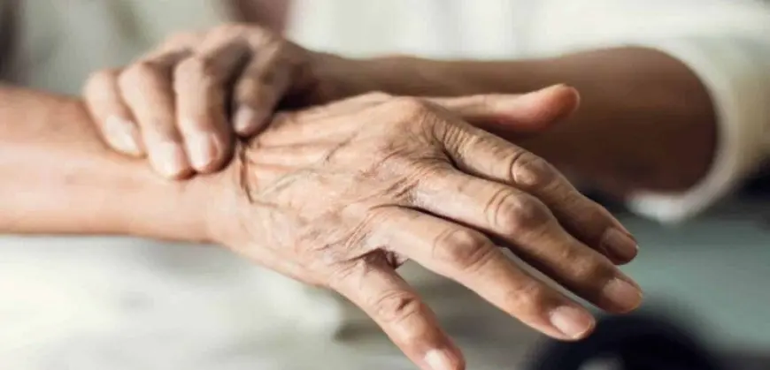 الأغذية المعالجة.. خطر خفى يزيد مخاطر الإصابة بـ”باركنسون”