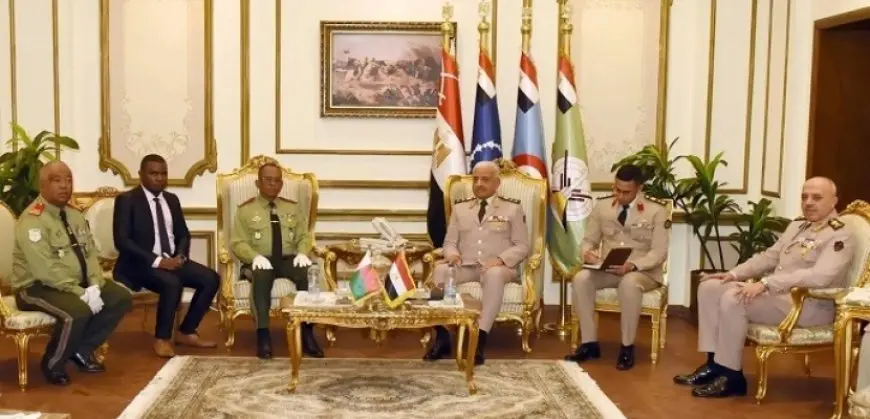 وزير الدفاع الفريق أول عبد المجيد صقر يلتقى نظيره من مدغشقر