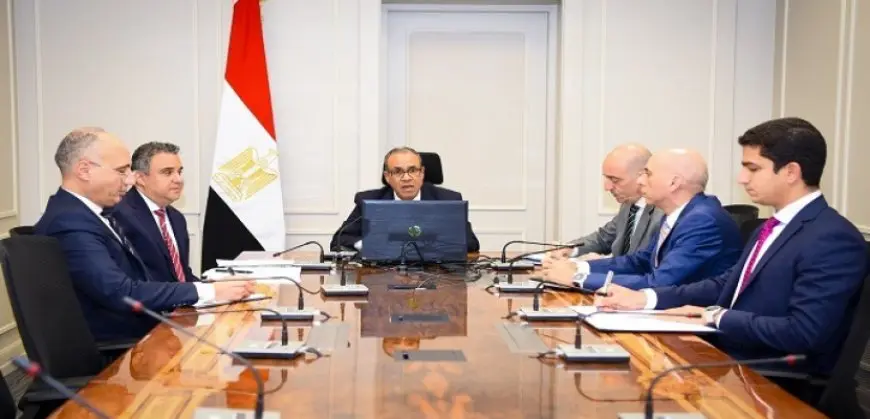 وزير الخارجية والهجرة يعقد اجتماعًا افتراضيًا مع رؤساء البعثات المصرية بالخارج