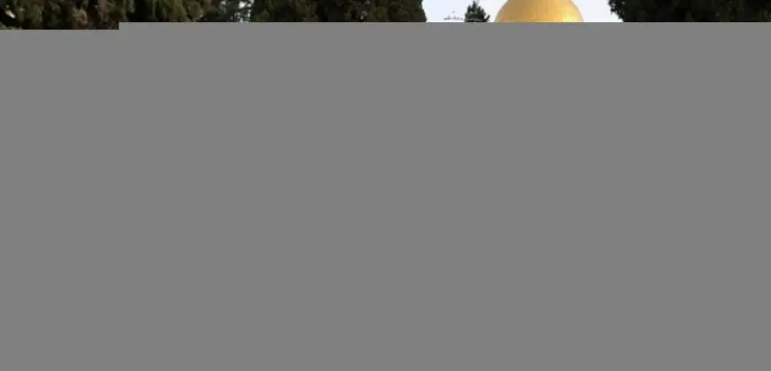 مستوطنون يقتحمون باحات الأقصى بحماية شرطة الاحتلال الإسرائيلى