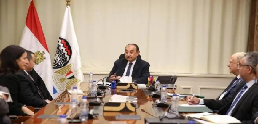وزير قطاع الأعمال يستعرض مع وفد “بريتش بتروليوم” خطوات إعادة تشغيل مصنع الأنود بالعين السخنة