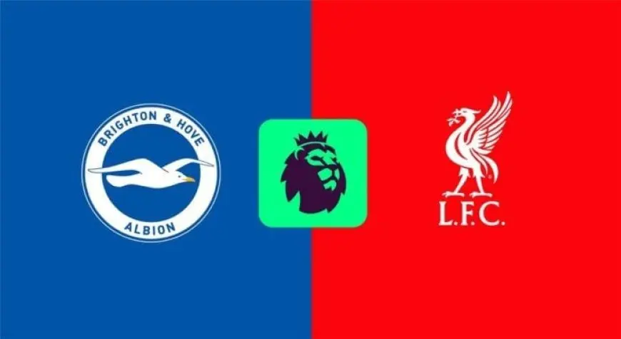 بث مباشر لمباراة ليفربول وبرايتون في الدوري الإنجليزي اليوم