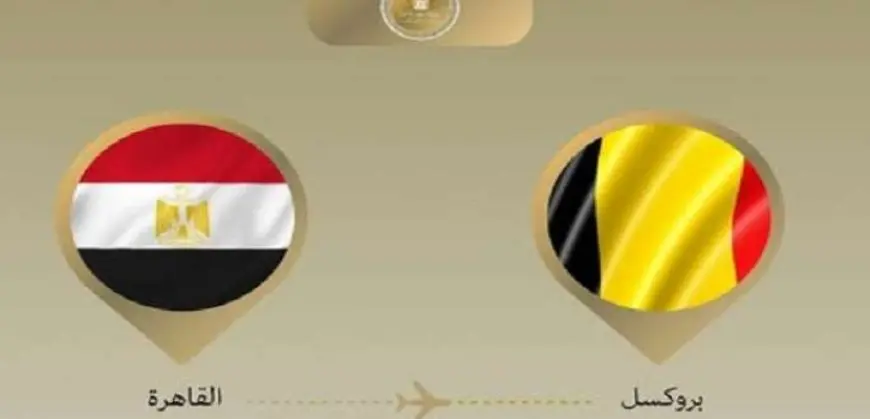 وزير الخارجية يتوجه إلى بلجيكا للمشاركة في الاجتماع الوزارى الإفريقي الأوروبى