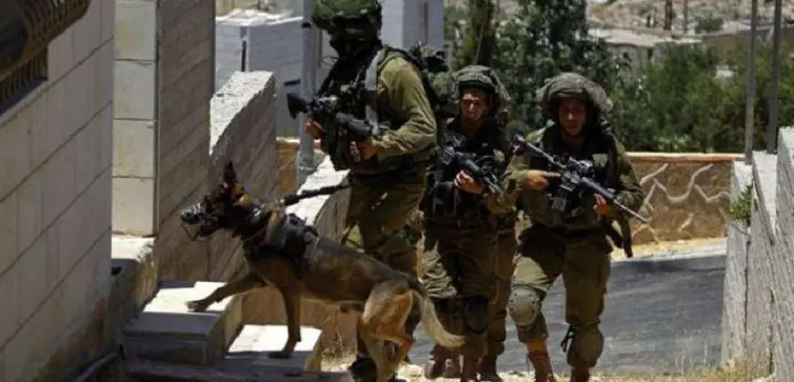 إصابة 7 فلسطينيين خلال اقتحام قوات الاحتلال مخيم “الجلزون” شمال رام الله