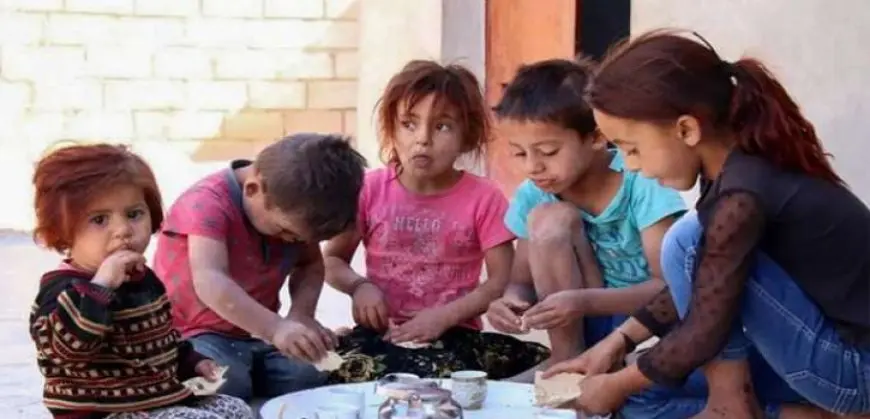 الأمم المتحدة: السوريون يواجهون خطر الموت وسط انعدام الأمن وأزمة الرعاية الصحية