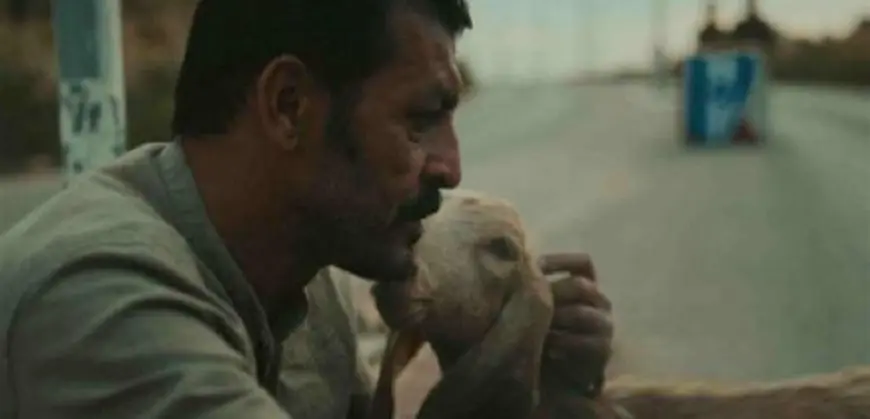 عرض فيلم “قهر” للمخرجة الفلسطينة ندى خليفة لأول مرة عالميا فى مهرجان كراكاو السينمائى