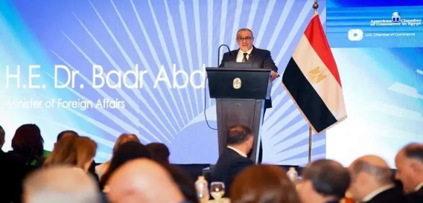 وزير الخارجية يؤكد استعداد الحكومة للتعاون مع الشركات الأمريكية وضمان تسهيل دخولها السوق المصرية