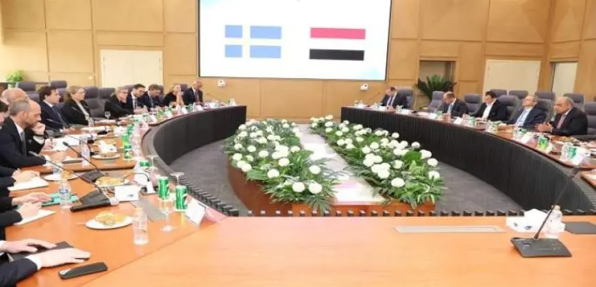 مصر والسويد تبحثان تعزيز التعاون فى الطاقة المتجددة والربط مع الشبكة الأوروبية