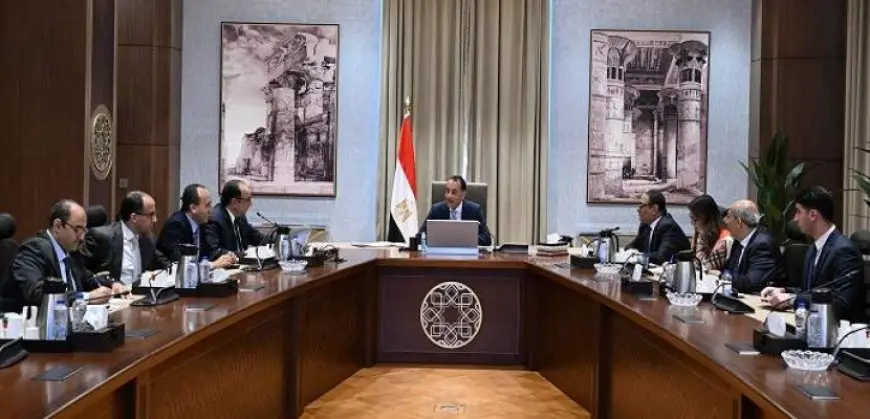 رئيس الوزراء يؤكد ضرورة مواصلة تحسين أداء الشركات القابضة التابعة لقطاع الأعمال العام