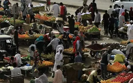 تحذير من انهيار صحى شامل فى دارفور وكردفان