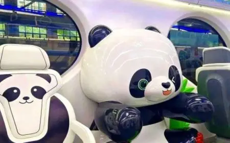 الصين تُطلق مونوريل “بتصميم الباندا” وتكنولوجيا فائقة لرفاهية الركاب