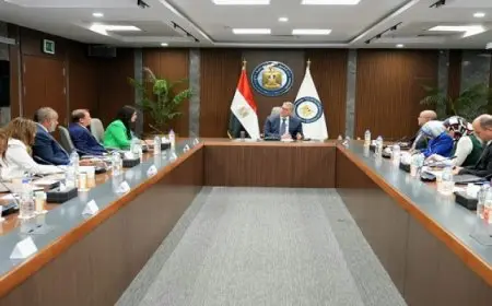 وزير البترول: مشروعات مسح جوى لتحديد الإمكانات التعدينية فى مصر