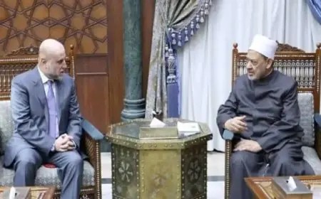 شيخ الأزهر: نحن فى حالة حزن شديد بسبب ما آلت إليه الأوضاع بقطاع غزة