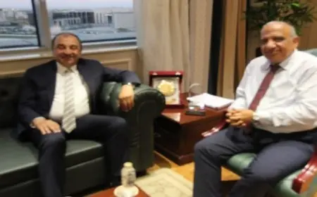 وزيرا الكهرباء وقطاع الأعمال يبحثان التعاون فى مجالات تحسين كفاءة الطاقة