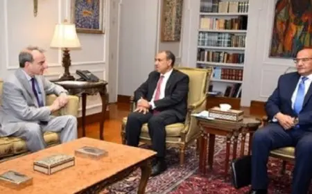وزير الخارجية يستقبل مدير عام السياسات باللجنة اليهودية الأمريكية