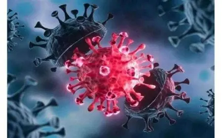 عوض تاج الدين يكشف عن مفاجأة حول المتحور الجديد لكورونا الذي ظهر في 22 دولة | فيديو