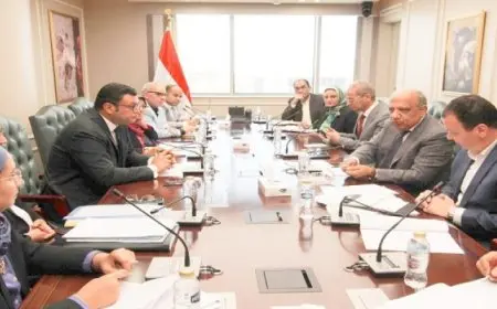 وزيرا الكهرباء والإسكان يبحثان تعزيز التعاون في مشروعات الطاقة المتجددة