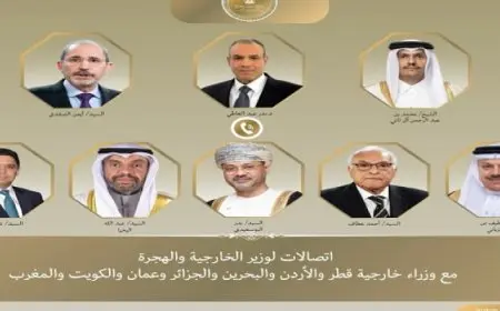 اتصالات هاتفية بين وزير الخارجية ونظرائه فى قطر والأردن والبحرين والجزائر وعُمان والكويت والمغرب