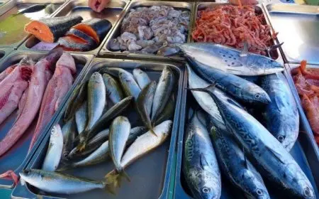 اسعار السمك اليوم البلطي الخميس 10 يوليو 2025 سعر الجمبري والاستكوزا في سوق العبور لجملة الأسماك