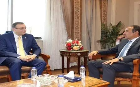 وزير قطاع الأعمال العام يبحث مع رئيس الجهاز المركزى للتنظيم والإدارة تعزيز التعاون المشترك