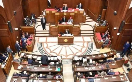 غلق باب الترشح لمجلس الشيوخ اليوم.. وإعلان القائمة المبدئية للمرشحين غدًا