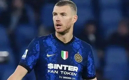 فيورنتينا يتعاقد مع دجيكو في صفقة انتقال مجانية