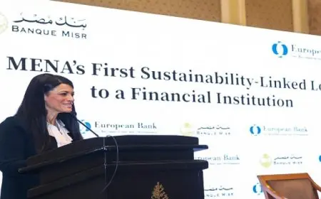 المشاط : التمويلات الميسرة للقطاع الخاص تُسهم فى دفع النمو الاقتصادى