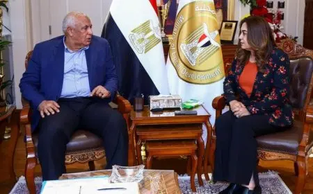 وزيرة التنمية المحلية تتابع آخر مستجدات إنشاء مركز الحرير بمدينة الخارجة مع الزملوط