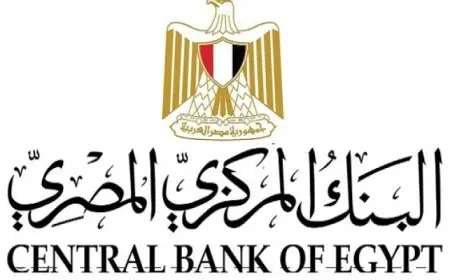البنك المركزى المصرى يقرر تثبيت أسعار الفائدة