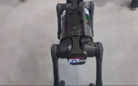 روبوت صيني مبتكر بستة أرجل يتميز بقدرات خيالية