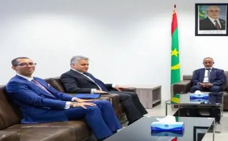 سفير مصر في نواكشوط يناقش تعزيز التعاون مع وزير الصحة الموريتاني