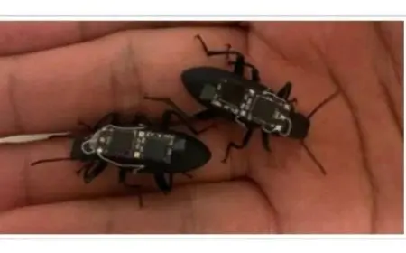 ابتكار خنافس إلكترونية ثورية لتعزيز جهود البحث عن الناجين في الكوارث