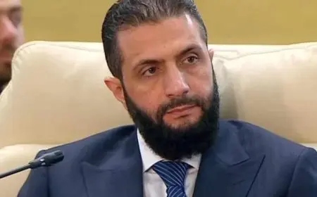 تقرير للأمم المتحدة يظهر عدم وجود علاقات نشطة بين الدولة السورية وتنظيم القاعدة