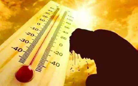 الأرصاد تحذر من طقس شديد الحرارة والرطوبة في معظم المناطق يوم الجمعة مع درجة حرارة عظمى بالقاهرة تصل إلى 35 درجة