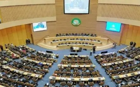 مصر تساهم في الاجتماع التنسيقي للاتحاد الإفريقي في غينيا الاستوائية يوم الأحد