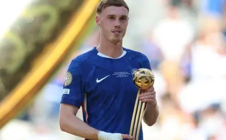 بالمر وغونزالو يتألقان في الجوائز الفردية لكأس العالم للأندية