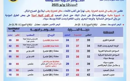 الأرصاد الجوية تحذر من طقس شديد الرطوبة مع وصول درجات الحرارة في القاهرة إلى 37 درجة