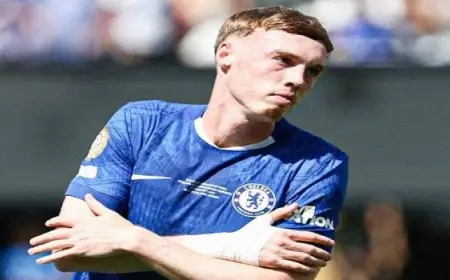 باريس سان جيرمان يعتزم التقدم بعرض خيالى لضم بالمر