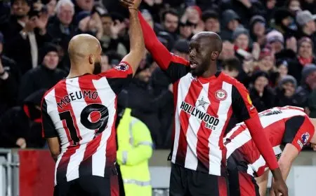 نيوكاسل يسعى للانتعاش من ضربة إيكيتيكي ضد برينتفورد