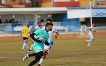 الإسماعيلي يُعلن تجديد عقدي أحمد عادل عبد المنعم ومحمد حسن.