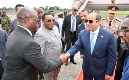 الرئيس السيسي يشارك في قمة الاتحاد الأفريقي الأحد ويقدم كلمتين تمثلان مصر