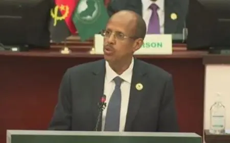 رئيس مفوضية الاتحاد الأفريقي يؤكد أن رقمنة الاقتصادات هي المفتاح لمستقبل القارة الافريقية