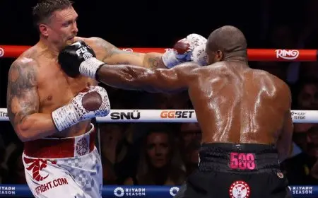 أوسيك يهزم دوبوا بالضربة القاضية في ويمبلي