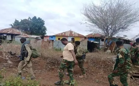 مقتل 7 عناصر من مليشيات الشباب في محافظة هيران بالصومال