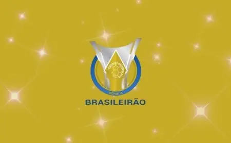 انتصارات صعبة لفلامنجو وبالميراس وبوتافوجو في الدوري البرازيلي